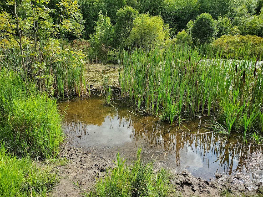 Sherrill, NY Travel Guide